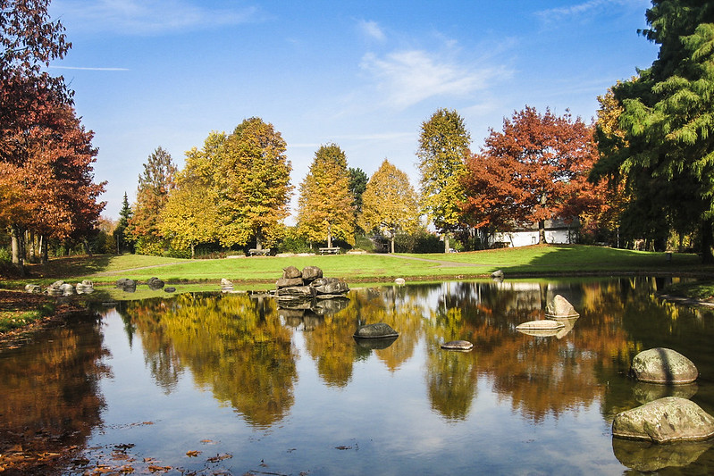 Indian Summer in the Rhine valley