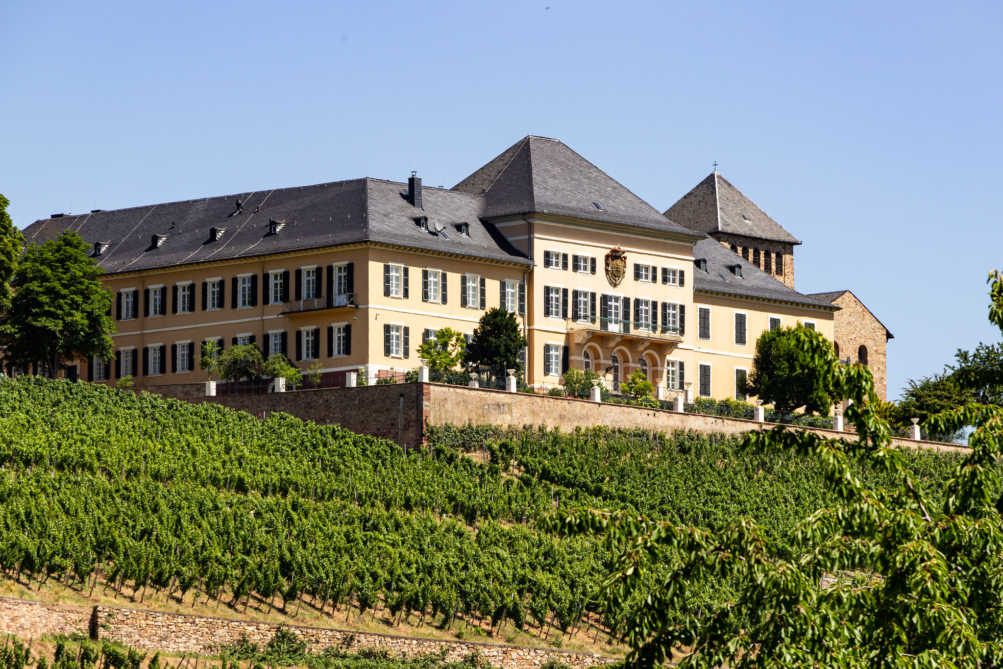 Vineyards along the Avalon Waterway Cruise