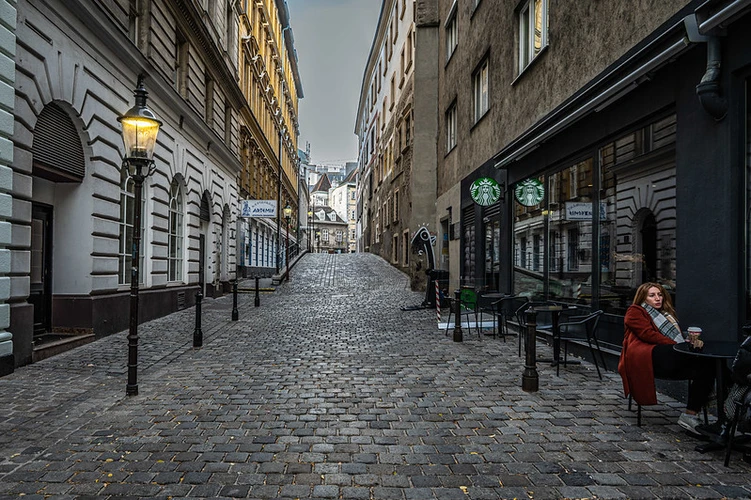 Vienna - Cobblestone Side Street