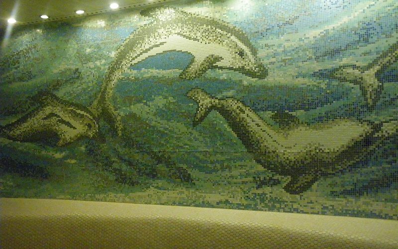 Dolphin Mural in the RainForest Room