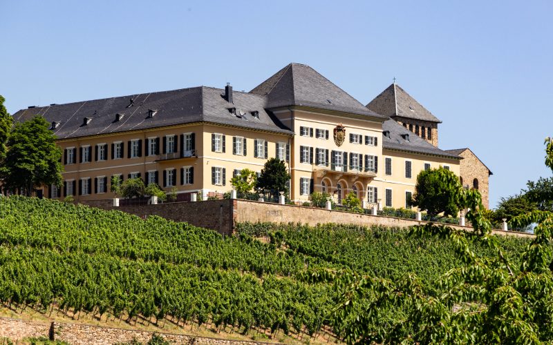 Vineyards along the Avalon Waterway Cruise